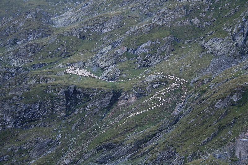 Original image
